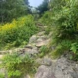 Hiking Trails in the Smokies